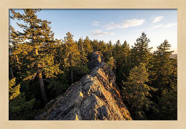 Backbone State Park Panorama