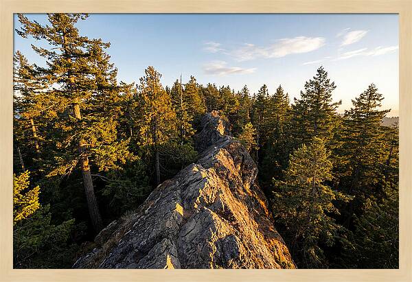 Backbone State Park Panorama