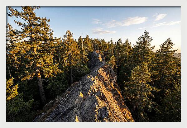 Backbone State Park Panorama