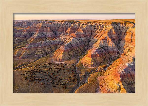 Badlands Landscape At Dusk