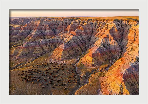 Badlands Landscape At Dusk
