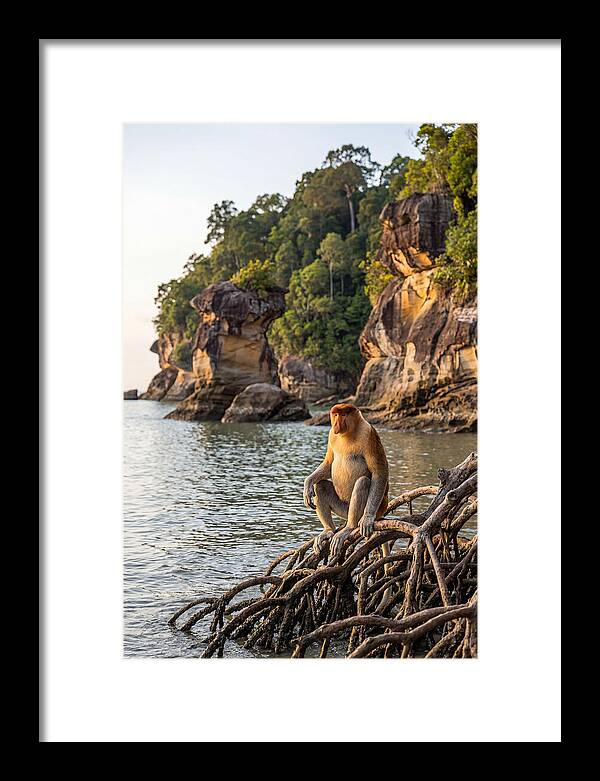 Bako National Park Serenity