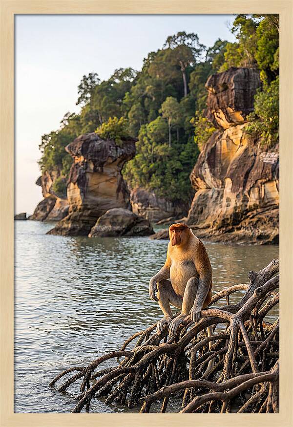 Bako National Park Serenity