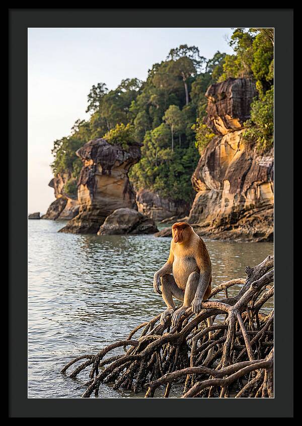 Bako National Park Serenity