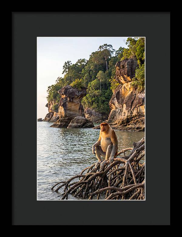 Bako National Park Serenity