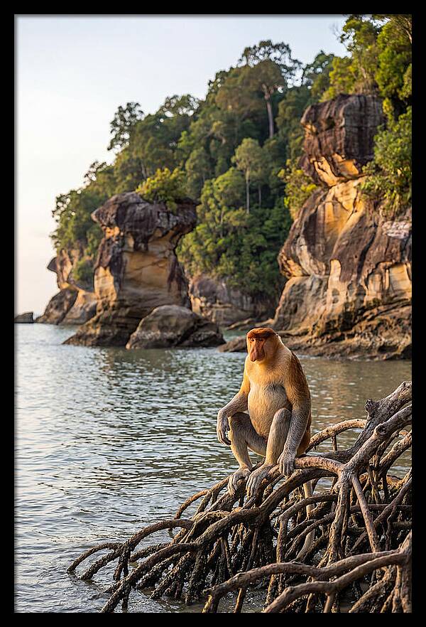 Bako National Park Serenity