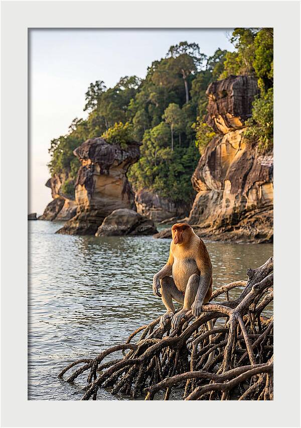 Bako National Park Serenity