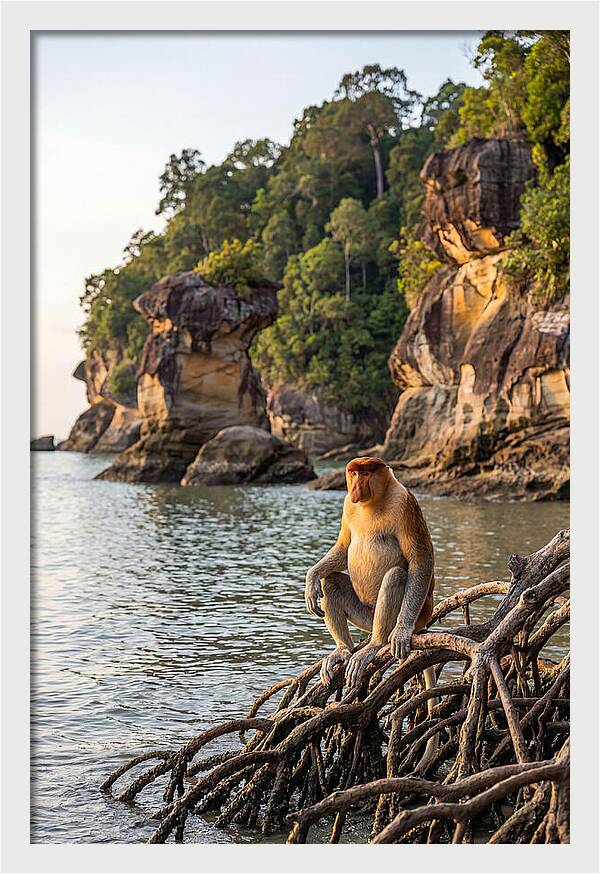 Bako National Park Serenity
