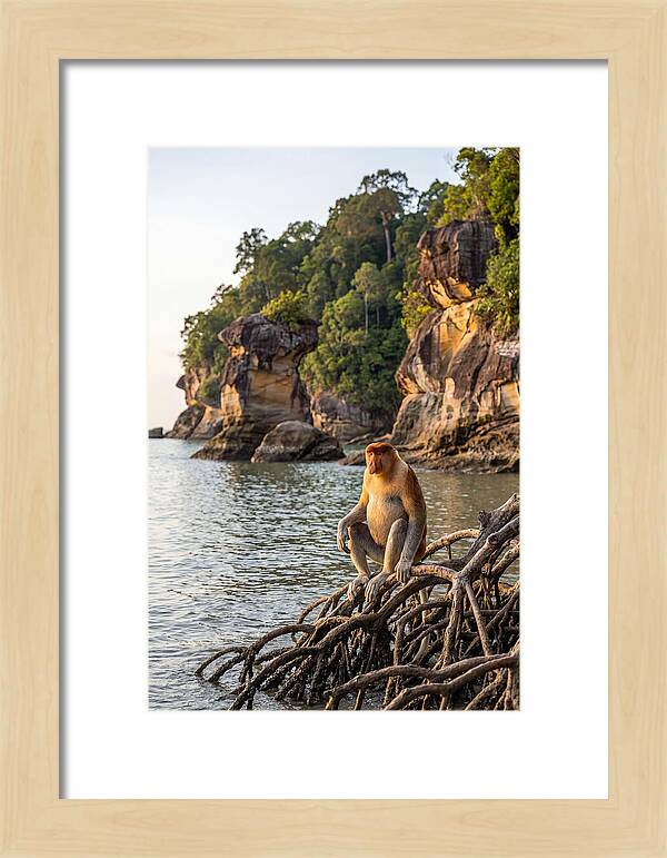 Bako National Park Serenity
