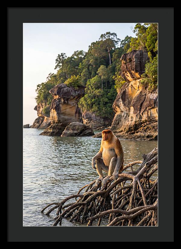 Bako National Park Serenity