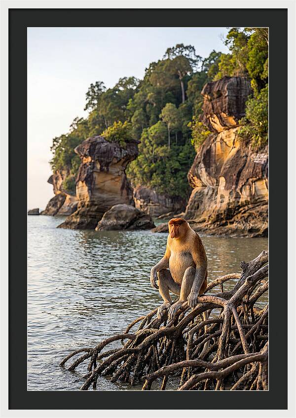 Bako National Park Serenity