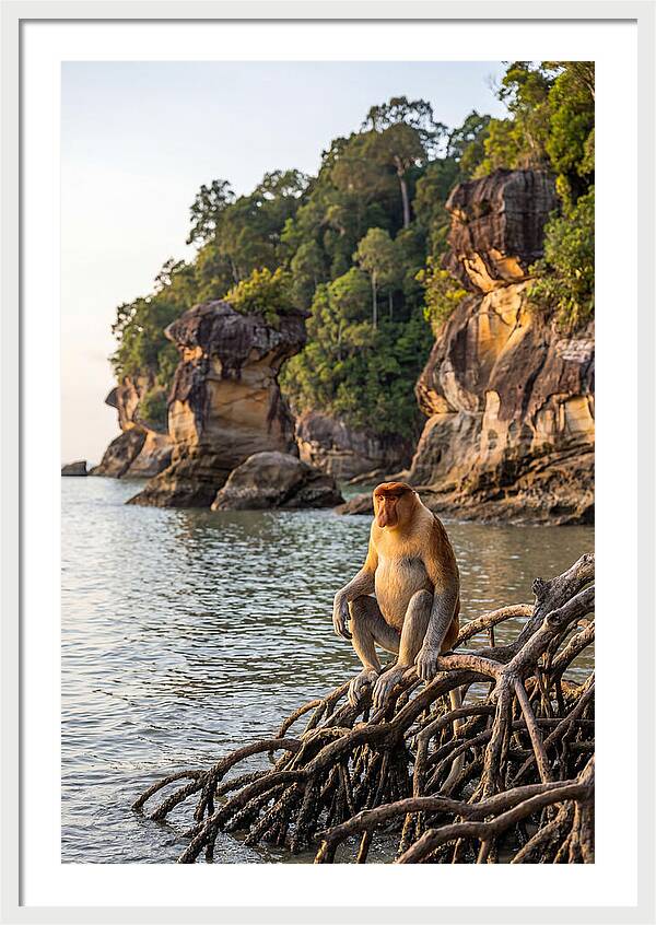 Bako National Park Serenity