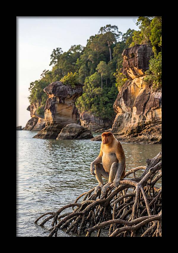 Bako National Park Serenity