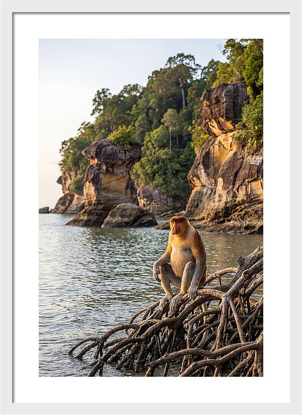 Bako National Park Serenity
