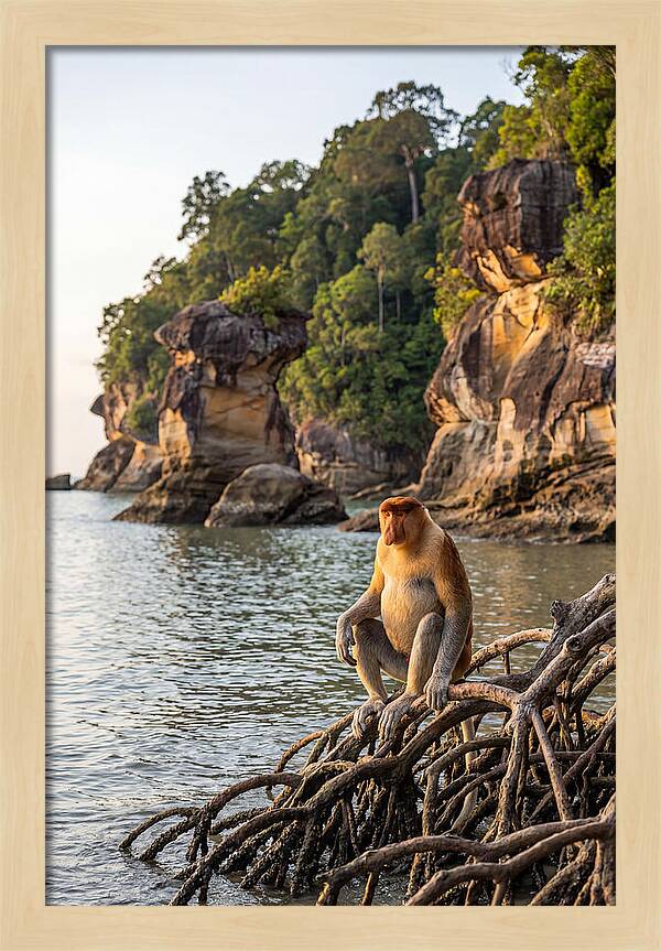 Bako National Park Serenity