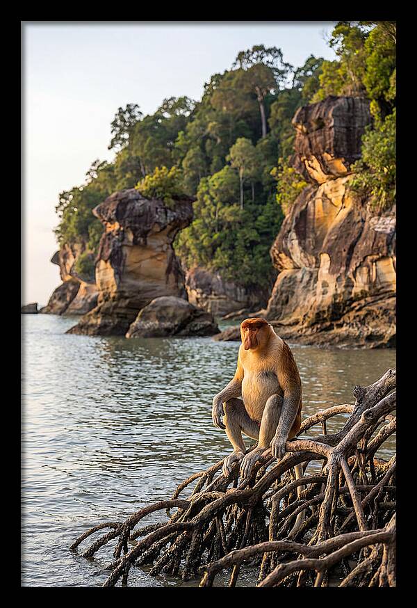 Bako National Park Serenity