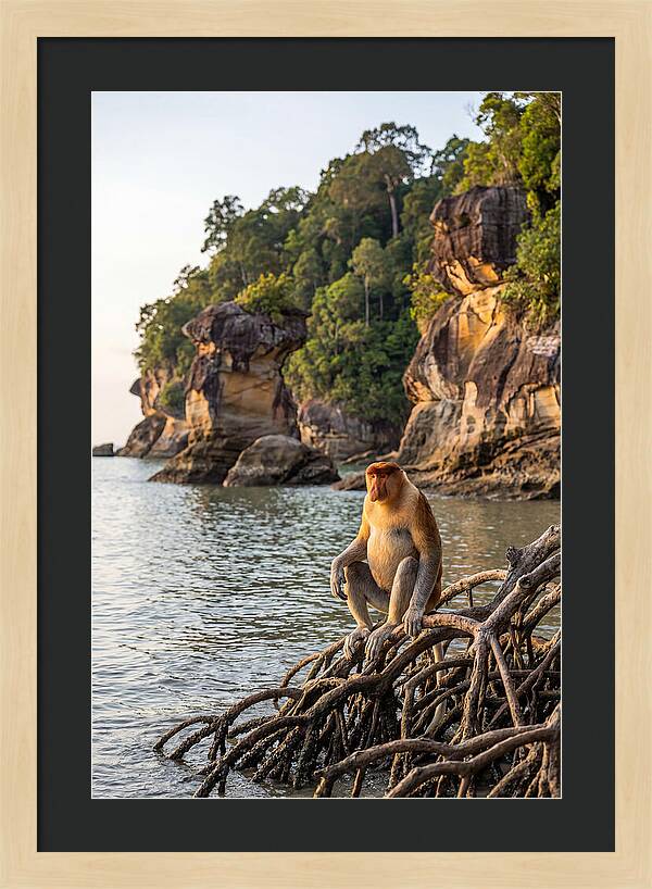 Bako National Park Serenity