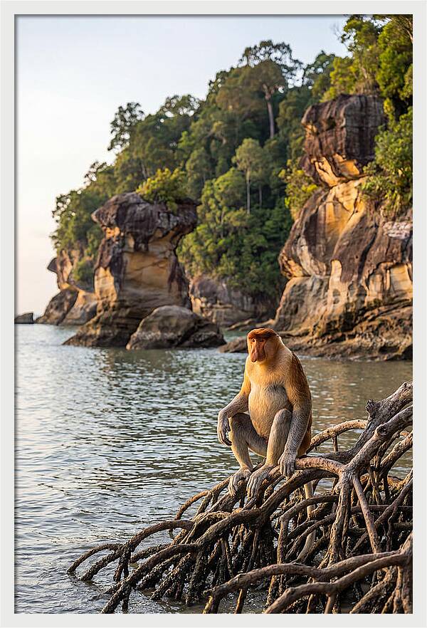 Bako National Park Serenity