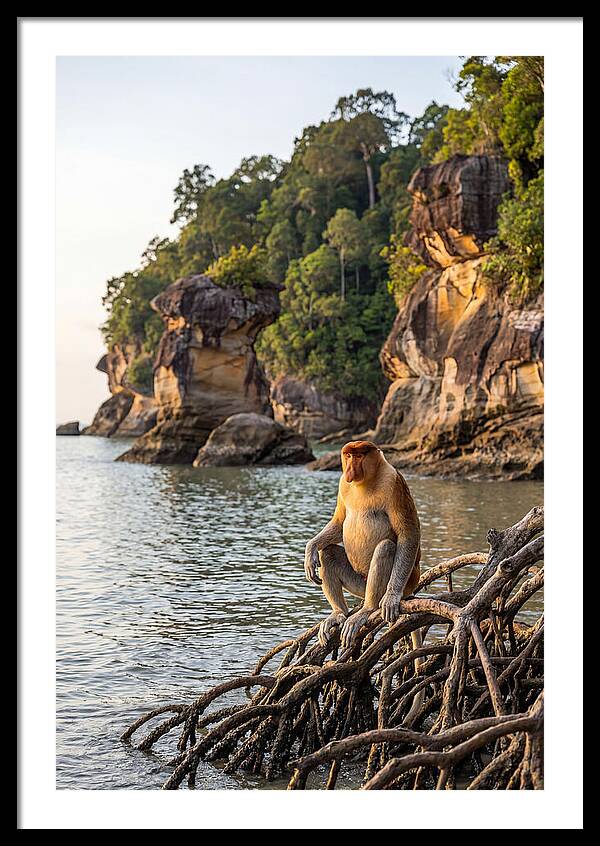 Bako National Park Serenity
