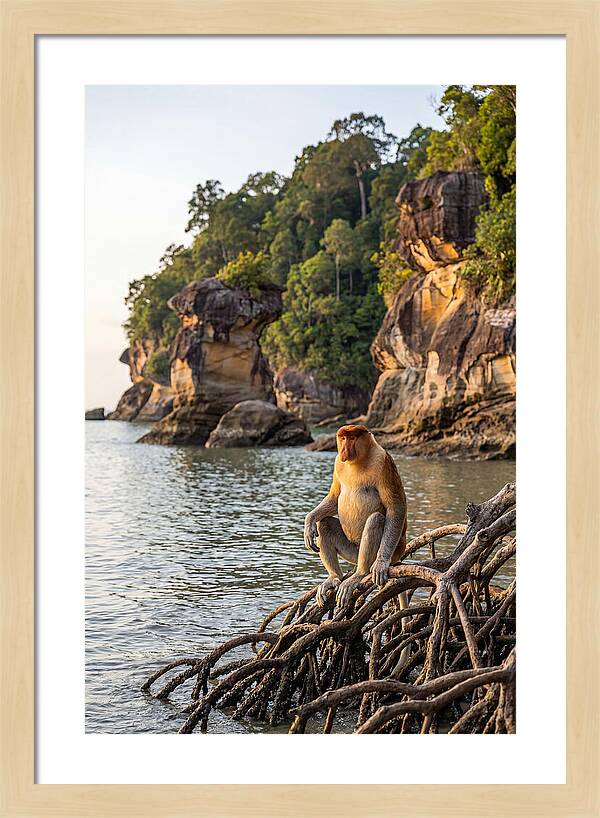 Bako National Park Serenity