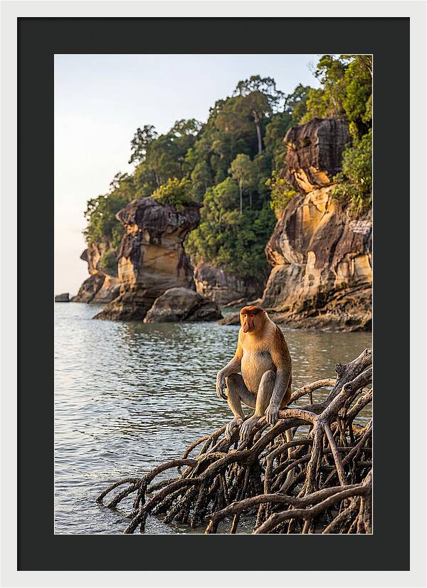 Bako National Park Serenity