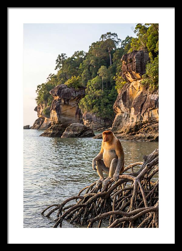 Bako National Park Serenity