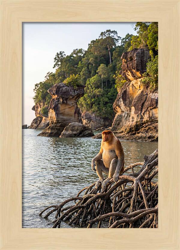 Bako National Park Serenity
