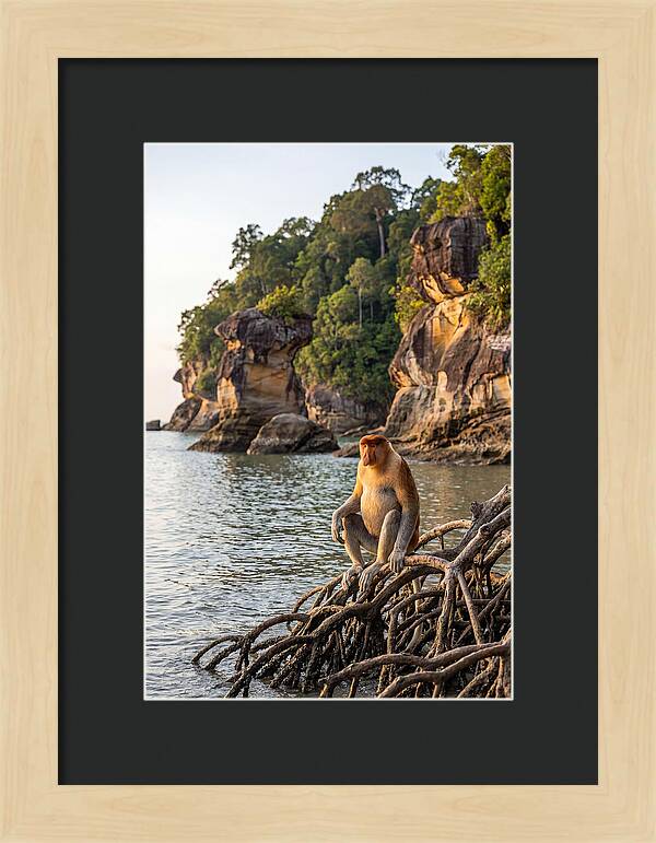 Bako National Park Serenity
