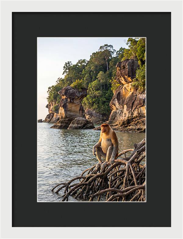 Bako National Park Serenity