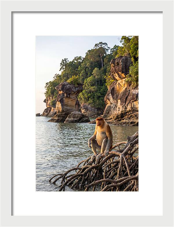 Bako National Park Serenity