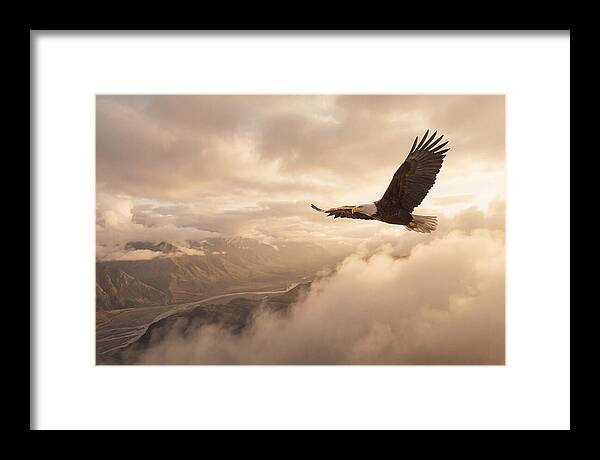 Bald Eagle Soaring Through Clouds