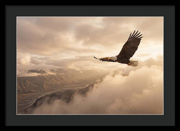 Bald Eagle Soaring Through Clouds
