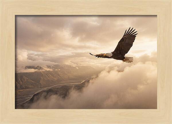 Bald Eagle Soaring Through Clouds