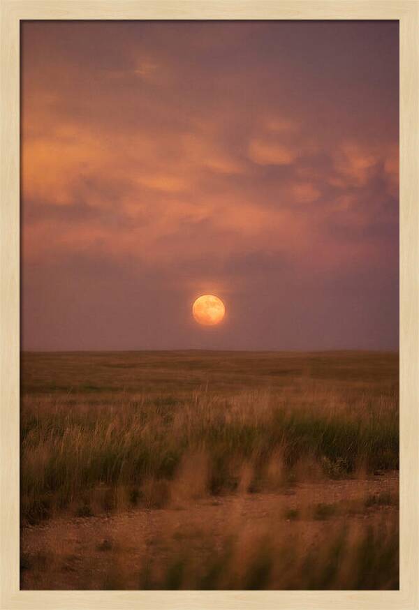 Ball Lightning Over Prairie