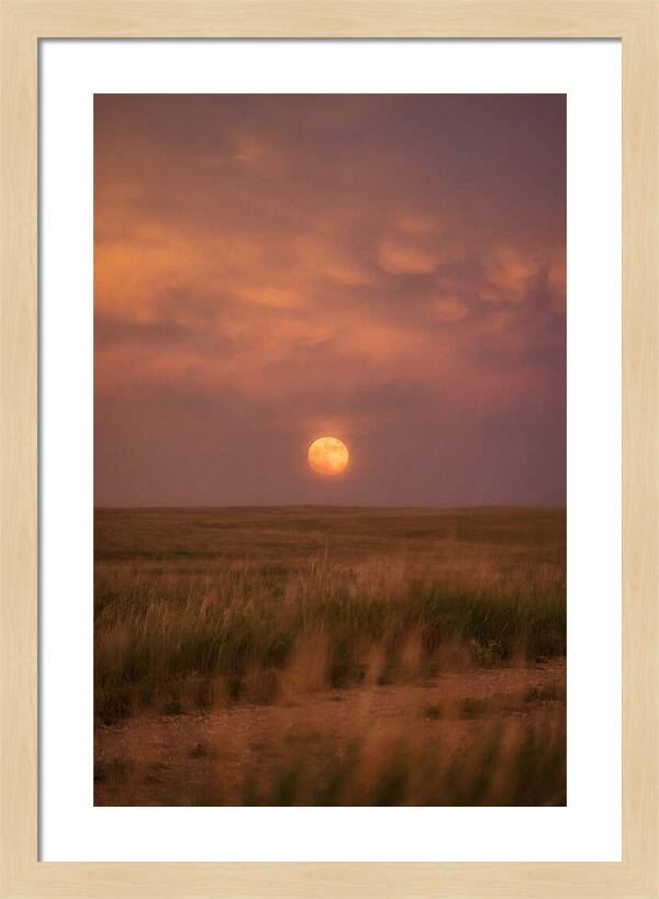 Ball Lightning Over Prairie