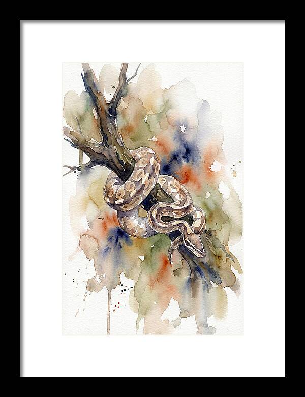 Ball Python Among Branches