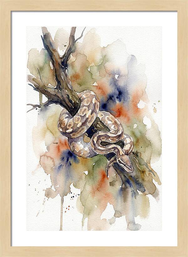 Ball Python Among Branches