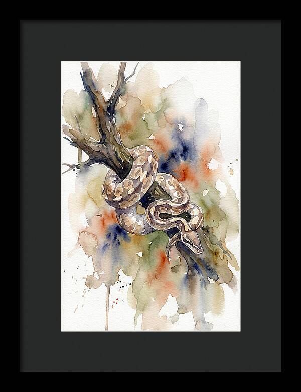 Ball Python Among Branches