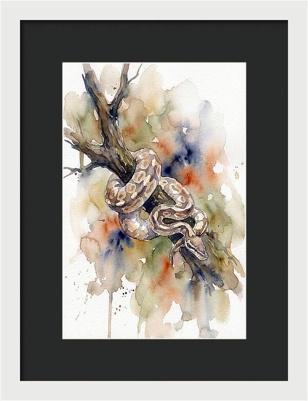 Ball Python Among Branches