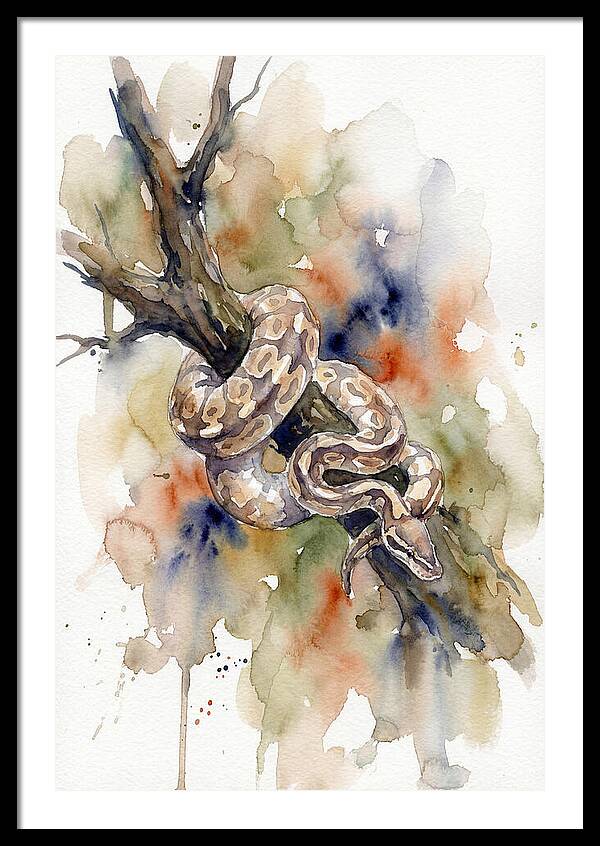 Ball Python Among Branches