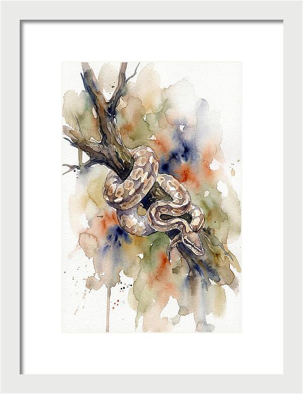 Ball Python Among Branches