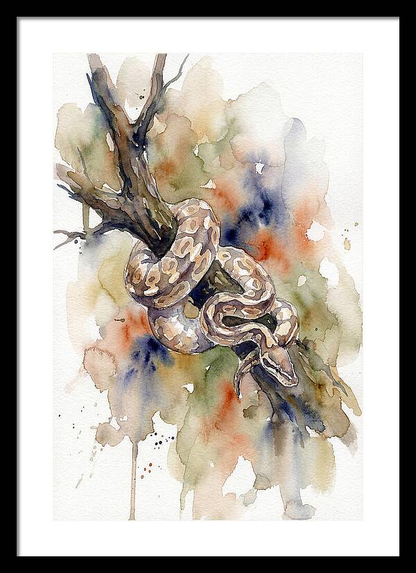 Ball Python Among Branches
