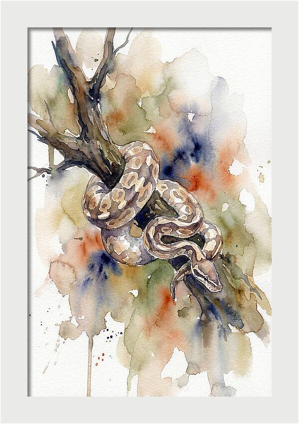 Ball Python Among Branches