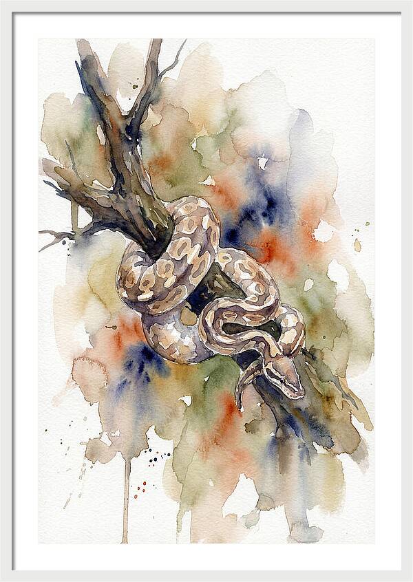Ball Python Among Branches