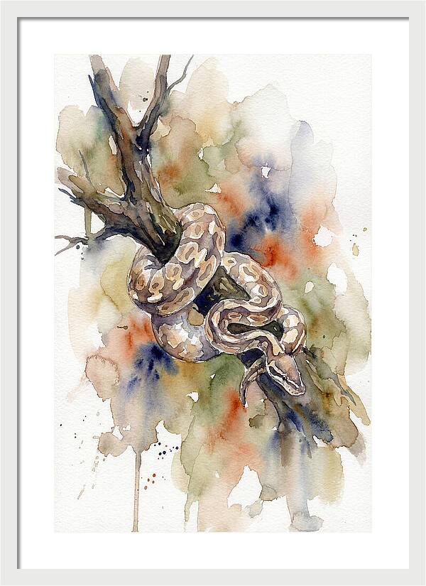 Ball Python Among Branches