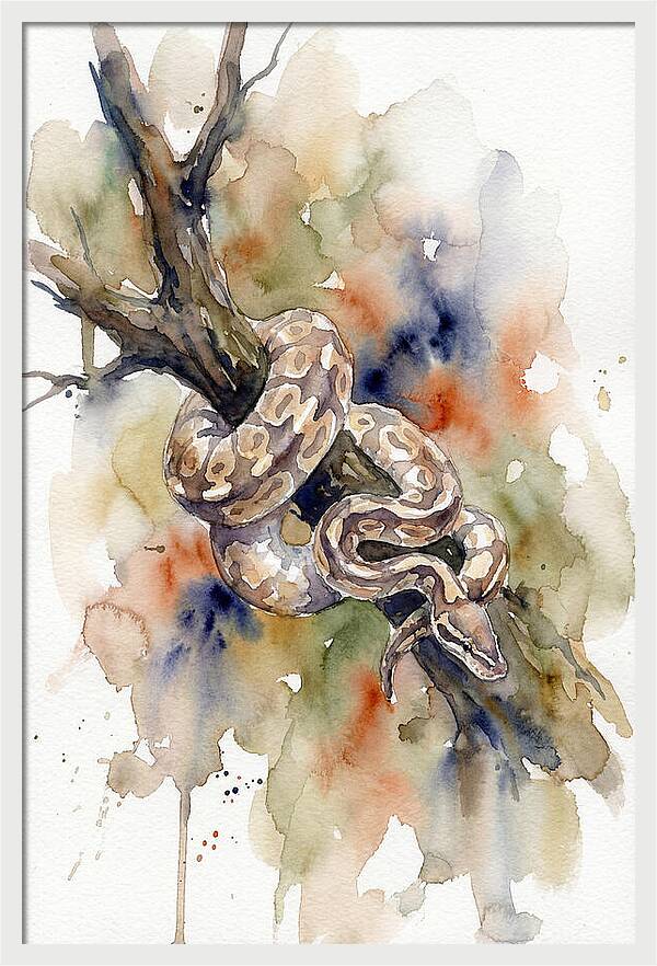 Ball Python Among Branches