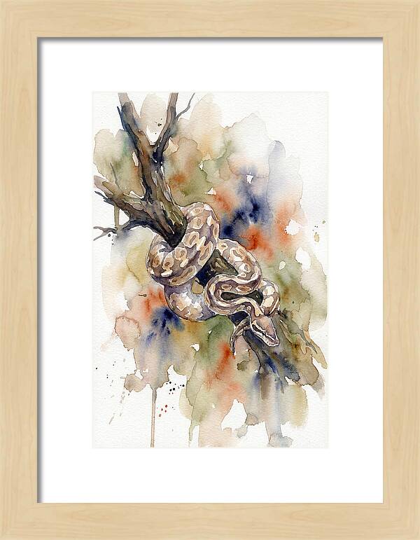 Ball Python Among Branches