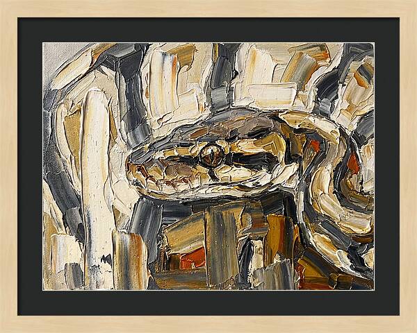 Ball Python In Abstract Form