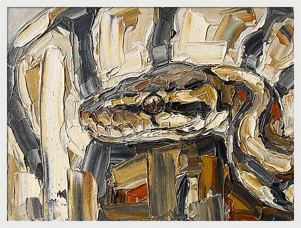 Ball Python In Abstract Form