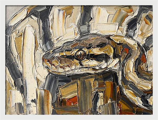 Ball Python In Abstract Form